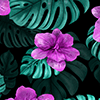 BG7